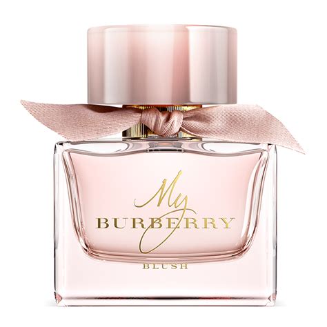 my burberry blush by burberry eau de parfum spray stores|burberry blush perfume chemist warehouse.